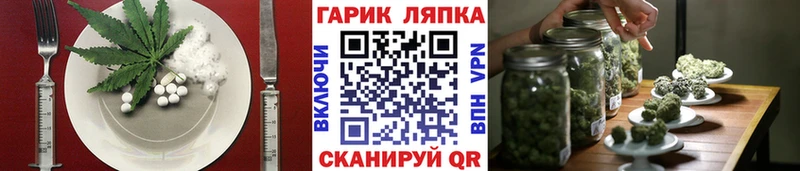 Canna-Cookies марихуана  Вышний Волочёк 