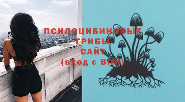 ГАЛЛЮЦИНОГЕННЫЕ ГРИБЫ Волоколамск
