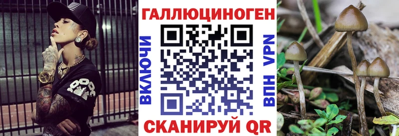 ссылка на мегу зеркало  Вышний Волочёк  Галлюциногенные грибы прущие грибы 